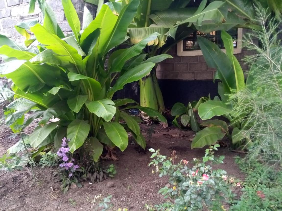 Homebase Gardens Накуру Екстериор снимка